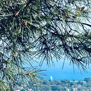 Maison Independante Vue Au Coeur De La Nature Hébergement de vacances